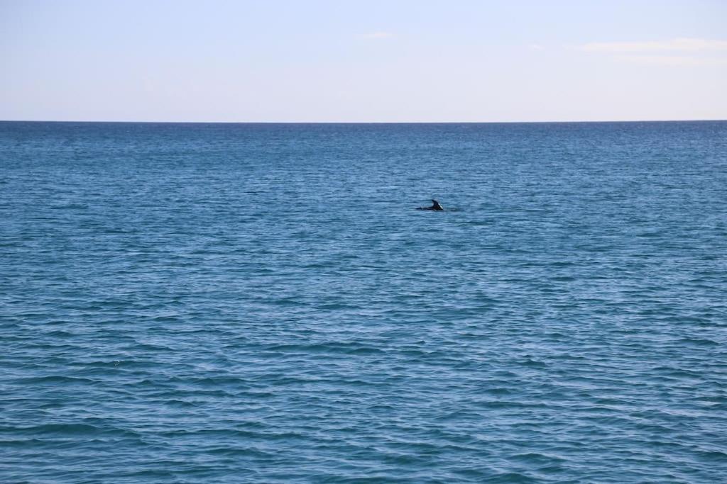 דירות קליארי Ocean Flat מראה חיצוני תמונה
